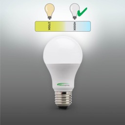 Rackhams E27 Edison Screw LED GLS 8.1W Energy Saving Light Bulbs - Pack of 6 - thumbnail 4