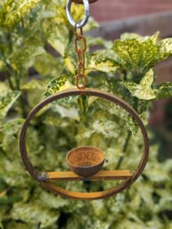 Rackhams Hanging Bird Feeder - thumbnail 2