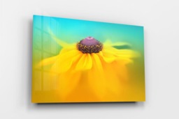 Rackhams Rudbeckia Dance - Framed Print 16 x 12 inch - thumbnail 2