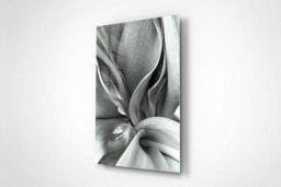 Rackhams Tulip Leaves - Framed Print 30 x 20 inch - thumbnail 3