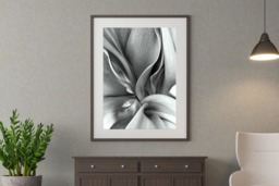 Rackhams Tulip Leaves - Framed Print 30 x 20 inch - thumbnail 1