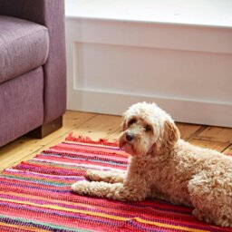 Rackhams Multicoloured Recycled Rag Rug - Small - thumbnail 6