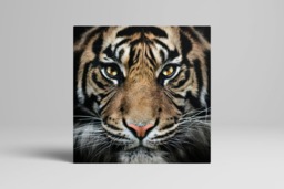 Rackhams The King - Framed Print 20 x 20 inch - thumbnail 3
