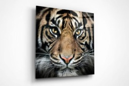 Rackhams The King - Framed Print 20 x 20 inch - thumbnail 2