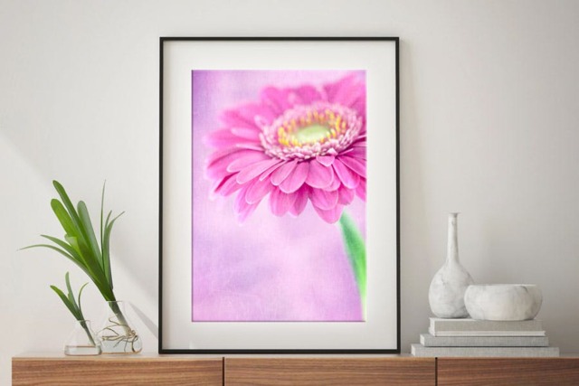 Rackhams Pretty in Pink - Framed Print 16 x 12 inch - image 1
