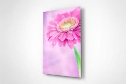 Rackhams Pretty in Pink - Framed Print 16 x 12 inch - thumbnail 3