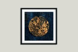 Rackhams Organic Form - Framed Print 16 x 16 inch - thumbnail 2