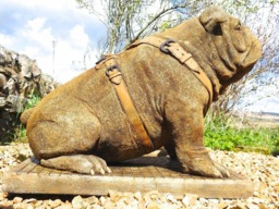Rackhams Life Size Sitting British Bulldog Stone Garden Ornament - thumbnail 5