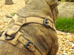 Rackhams Life Size Sitting British Bulldog Stone Garden Ornament - thumbnail 4