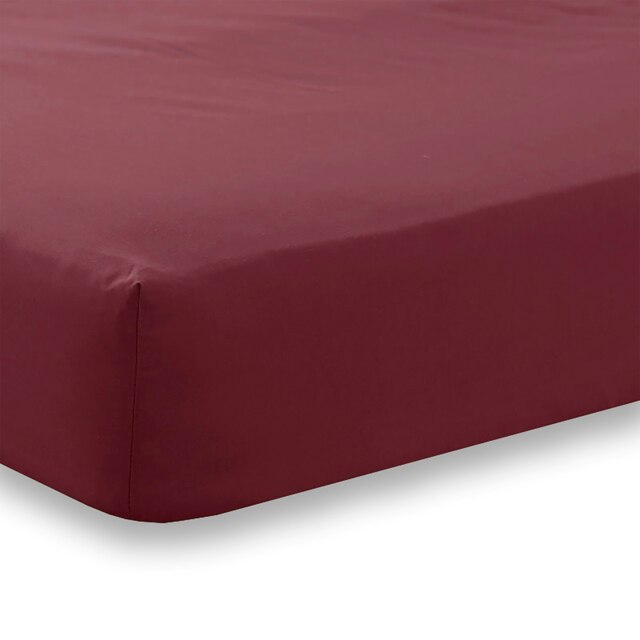 Rackhams Charlotte Thomas Poetry Plain Double Fitted Sheet - Burgundy  - 122 x 190cm - Purple - Double - Polycotton