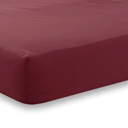 Rackhams Charlotte Thomas Poetry Plain Double Fitted Sheet - Burgundy  - 122 x 190cm - Purple - Double - Polycotton