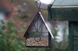 Rackhams House Style Bird Feeder - thumbnail 5