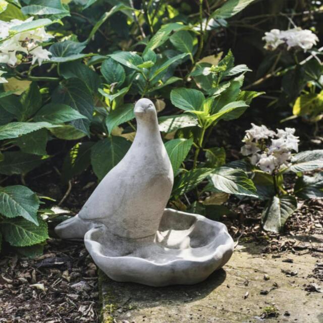 Rackhams Floor level Birdbath with Perching Pigeon / Bird feeder - image 1