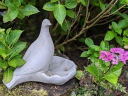 Rackhams Floor level Birdbath with Perching Pigeon / Bird feeder - thumbnail 4
