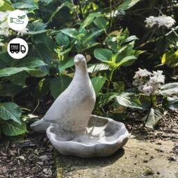 Rackhams Floor level Birdbath with Perching Pigeon / Bird feeder - thumbnail 2