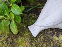 Rackhams Floor level Birdbath with Perching Pigeon / Bird feeder - thumbnail 5