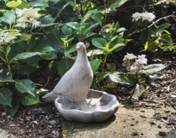 Rackhams Floor level Birdbath with Perching Pigeon / Bird feeder - thumbnail 6