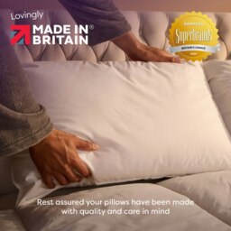 Rackhams Wonderful Wool Firm Support Pillow - Cover: 100% Cotton Filling: 100% British Wool - Medium - 2 Pack - thumbnail 6