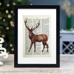Rackhams Majestic stag vintage book page art print - Black - thumbnail 1