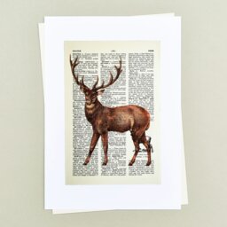 Rackhams Majestic stag vintage book page art print - Black - thumbnail 3