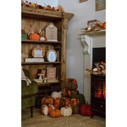 Rackhams Pumpkin Doorstop Small  - Orange - thumbnail 3