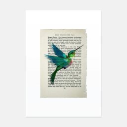 Rackhams Hummingbird vintage book page art print - No frame - thumbnail 1