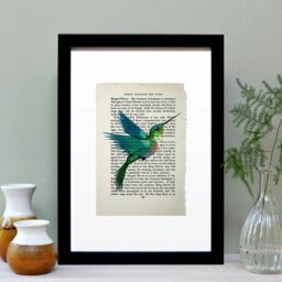 Rackhams Hummingbird vintage book page art print - No frame - thumbnail 2