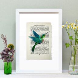 Rackhams Hummingbird vintage book page art print - No frame - thumbnail 3