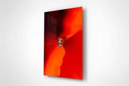 Rackhams Ladybird in Red - Framed Print 30 x 20 inch - thumbnail 2