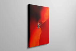 Rackhams Ladybird in Red - Framed Print 30 x 20 inch - thumbnail 3
