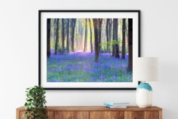 Rackhams Bluebell Landscape - Framed Print 30 x 20 inch