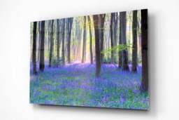 Rackhams Bluebell Landscape - Framed Print 30 x 20 inch - thumbnail 2