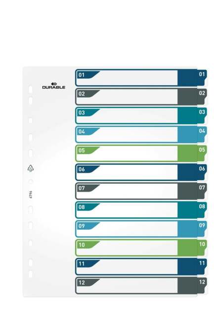 Rackhams 12 Part Numbered Tab Punched Index Dividers + Cover - A4+ - Colour Coded - image 1