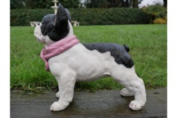 Rackhams French Bulldog Black and white with  pink scarf  Home Decor or Garden Ornament - thumbnail 4