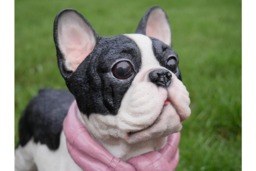 Rackhams French Bulldog Black and white with  pink scarf  Home Decor or Garden Ornament - thumbnail 3