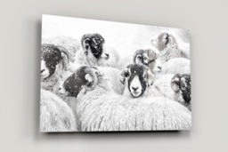 Rackhams In Winter's Grip - Framed Print 30 x 20 inch - thumbnail 3