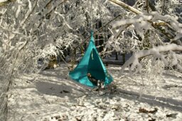 Rackhams Single Cacoon Hanging Chair - Turquoise - thumbnail 2