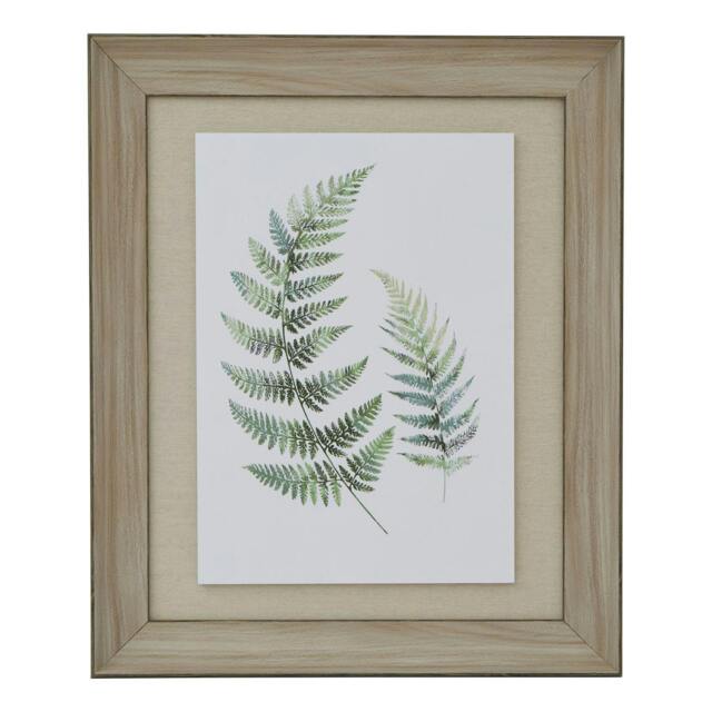 Rackhams Fern Duo Wood Framed Art Print - White/Green/Brown - 60cm x 5cm x 50cm - White/Green/Brown