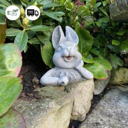 Rackhams Cute Half Bunny stone garden ornament - thumbnail 2