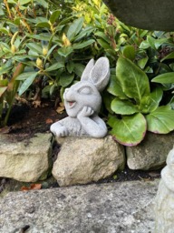 Rackhams Cute Half Bunny stone garden ornament - thumbnail 4