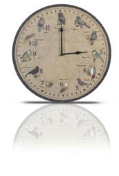 "Rackhams 12"" Garden Birds Wall Clock"