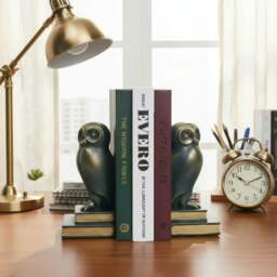 Rackhams Green Bird Owl Rustic Bookend Set Retro Home Office Adult Kids - thumbnail 2