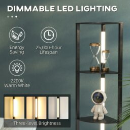 Rackhams Corner Floor Lamp with Dimmable Warm White LED Light - thumbnail 5