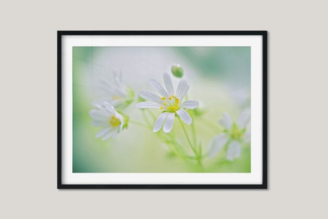 Rackhams A Wildflower Daydream - Framed Print 30 x 20 inch - image 1