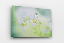 Rackhams A Wildflower Daydream - Framed Print 30 x 20 inch - thumbnail 2
