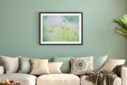 Rackhams A Wildflower Daydream - Framed Print 30 x 20 inch - thumbnail 4