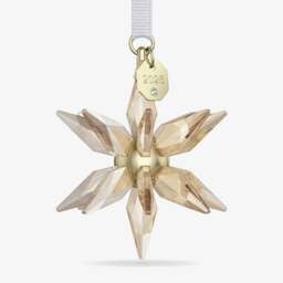 Rackhams Annual Edition 2025 Festive 3D Champagne Star Ornament 5701505