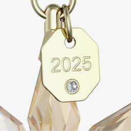 Rackhams Annual Edition 2025 Festive 3D Champagne Star Ornament 5701505 - thumbnail 2