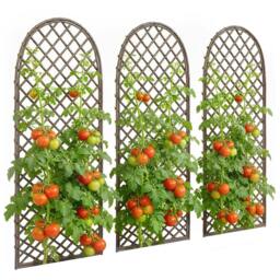 Rackhams Garden Arch, Wicker Trellis Support Frame with Dome Top, Natural - Wicker - Natural wood finish - Garden Arch - thumbnail 2