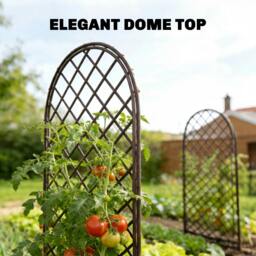 Rackhams Garden Arch, Wicker Trellis Support Frame with Dome Top, Natural - Wicker - Natural wood finish - Garden Arch - thumbnail 5